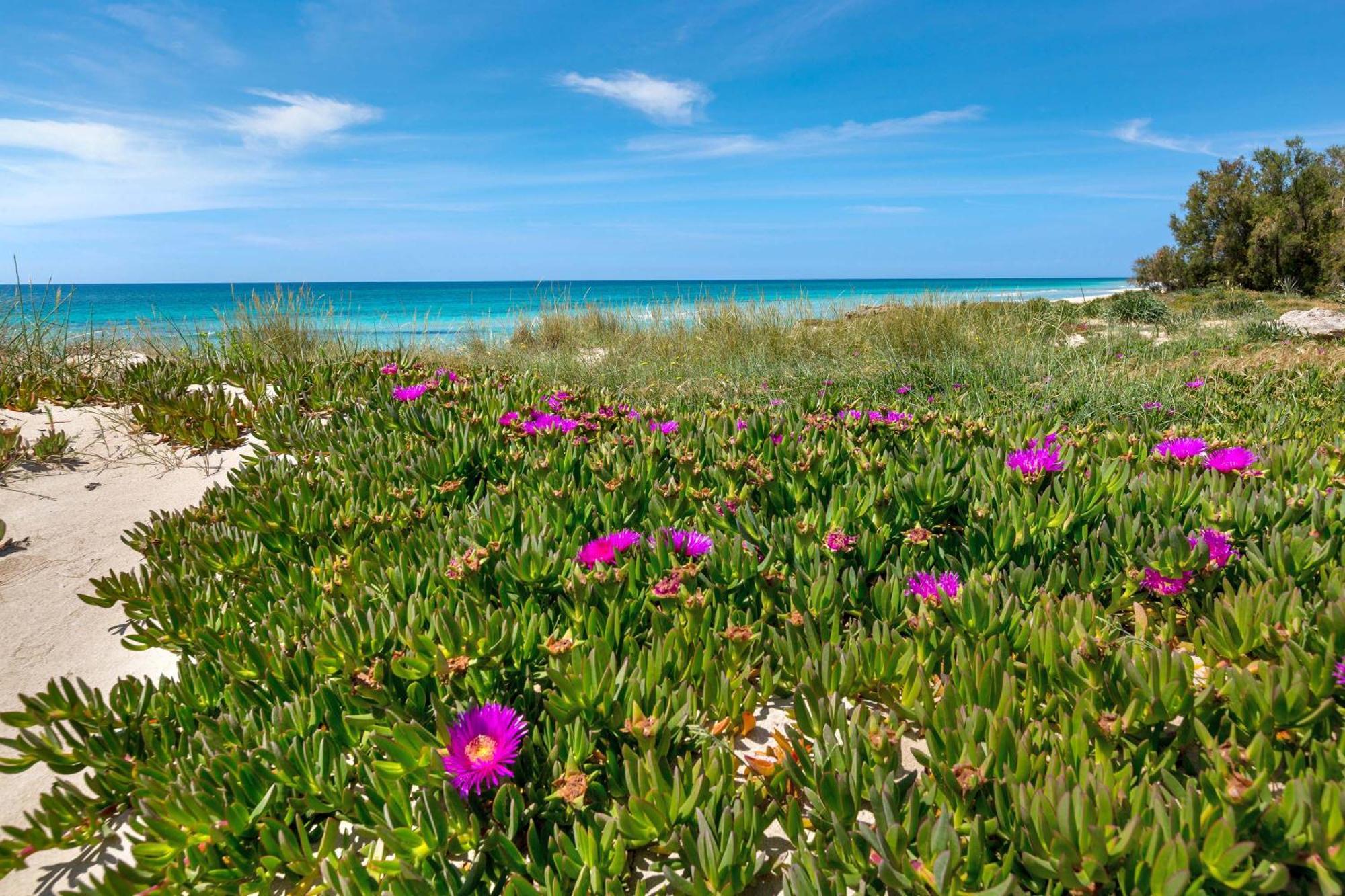 Blusea Beach Apartments San Pietro in Bevagna Esterno foto